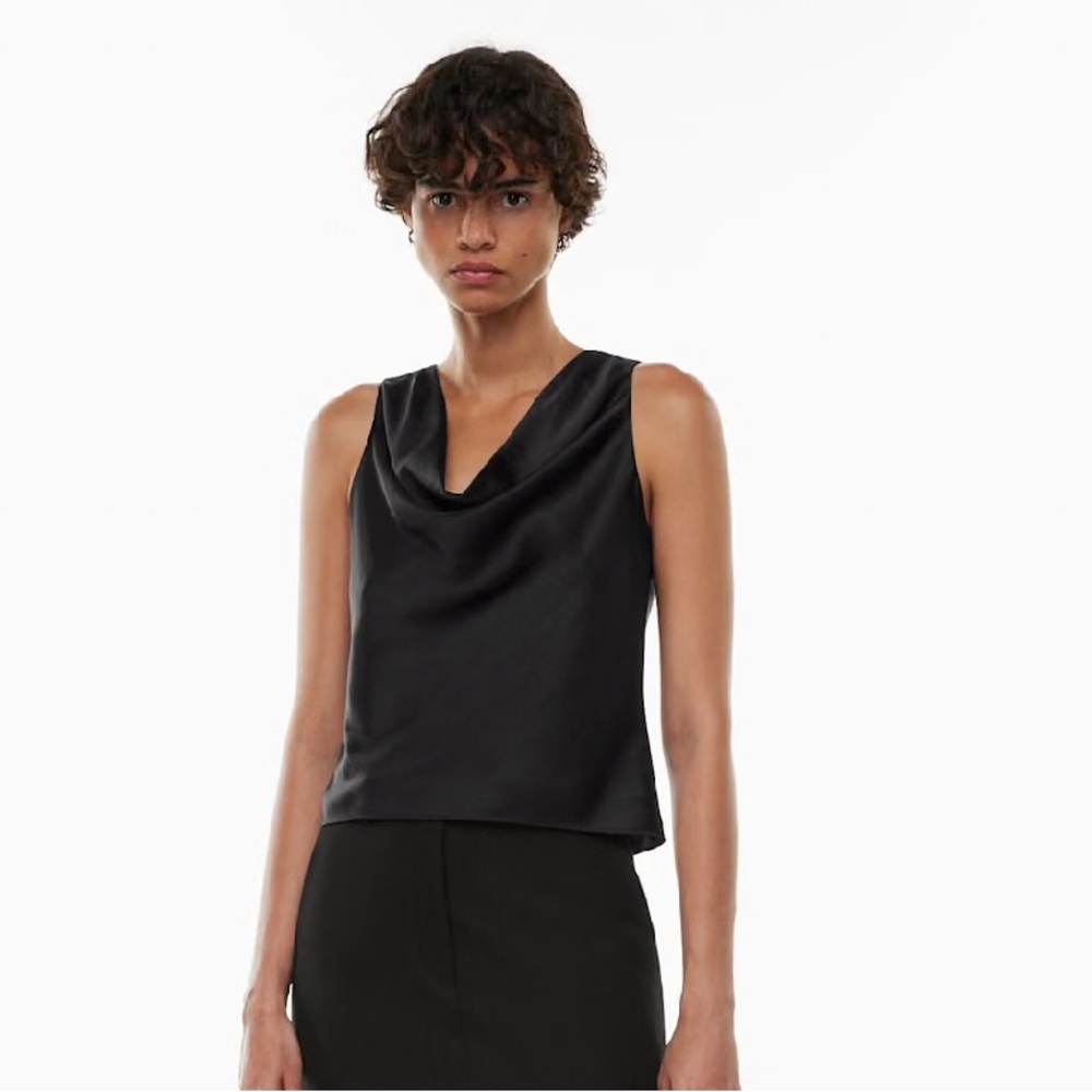 Aritzia Wilfred Moonbeam Satin Blouse